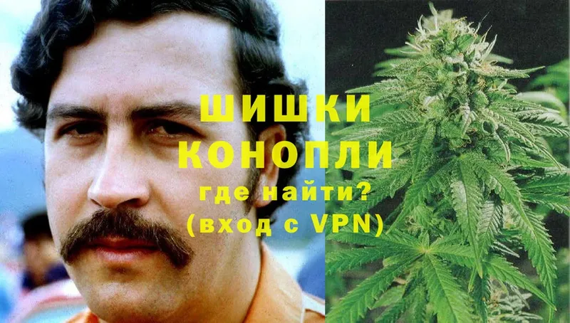 где купить наркоту  Бабушкин  Конопля SATIVA & INDICA 